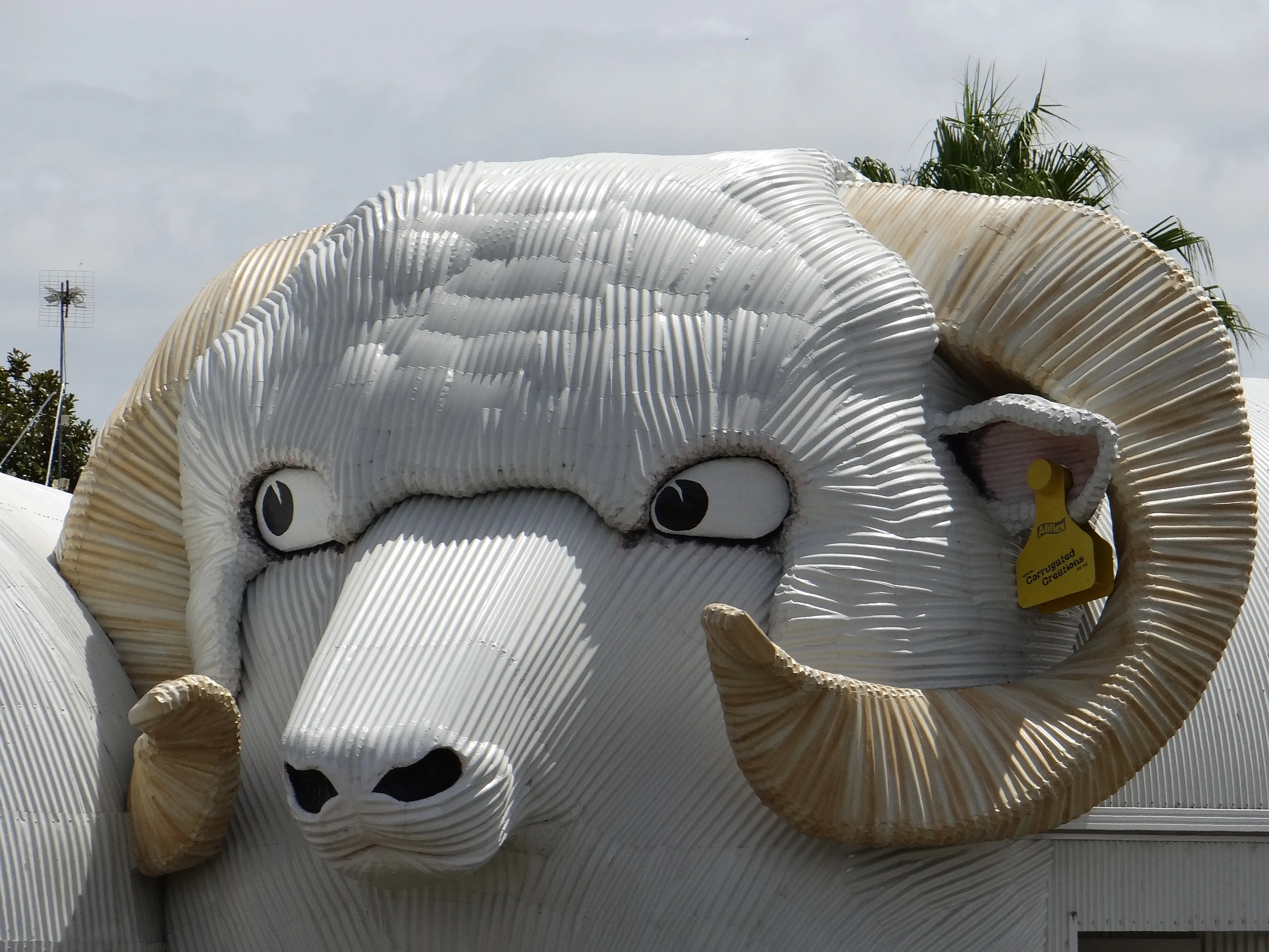 Picture of a sheep made of corrugated iron, in Tirau, New Zealand