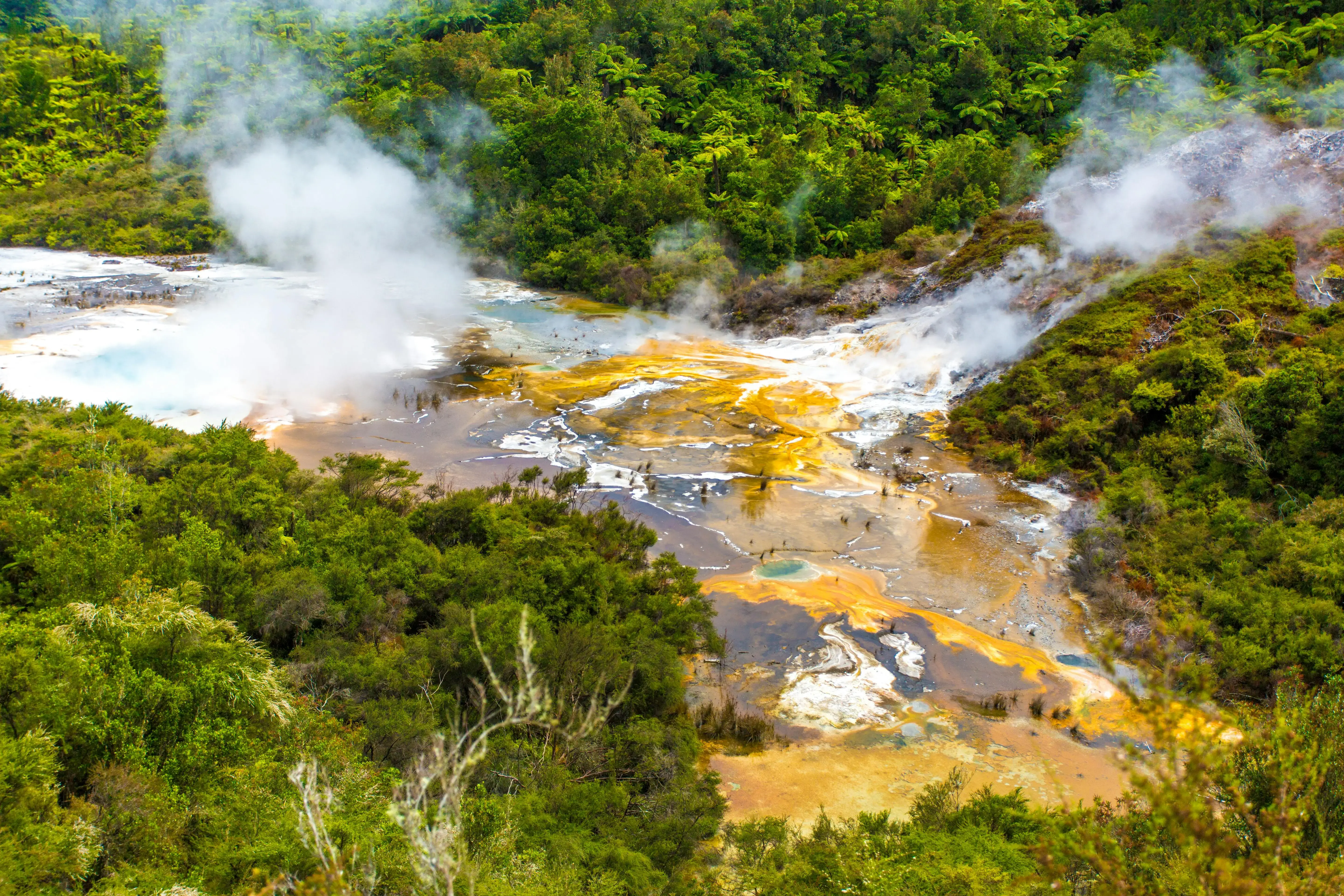 Picture of a geothermal spring, Rotarua, New Zealand